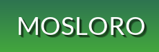 Explore Top Footwear Styles at Mosloro - Sneakers, Boots, Loafers, & More | Limited Time Deals